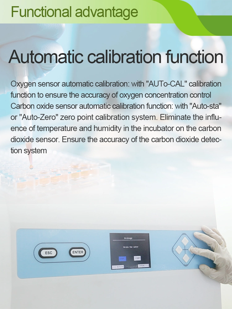 Laboratory CO2 Incubation for with LCD Display 160L Incubator Laboratory Medical CO2 Incubator